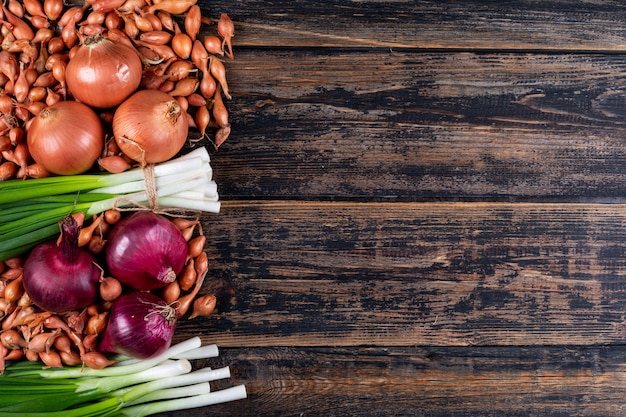 Set of red onions, shallots, spring onions or scallions and onions on a dark wooden table. top view.