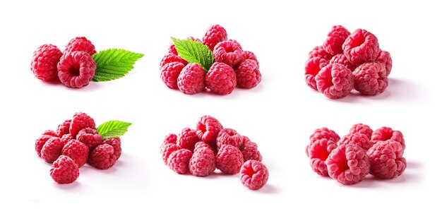 Set of ripe juicy raspberry isolated on white background