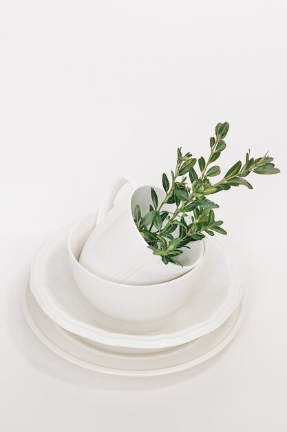 set of white dishes of three plates and a cup decorated with a branch of eucalyptus