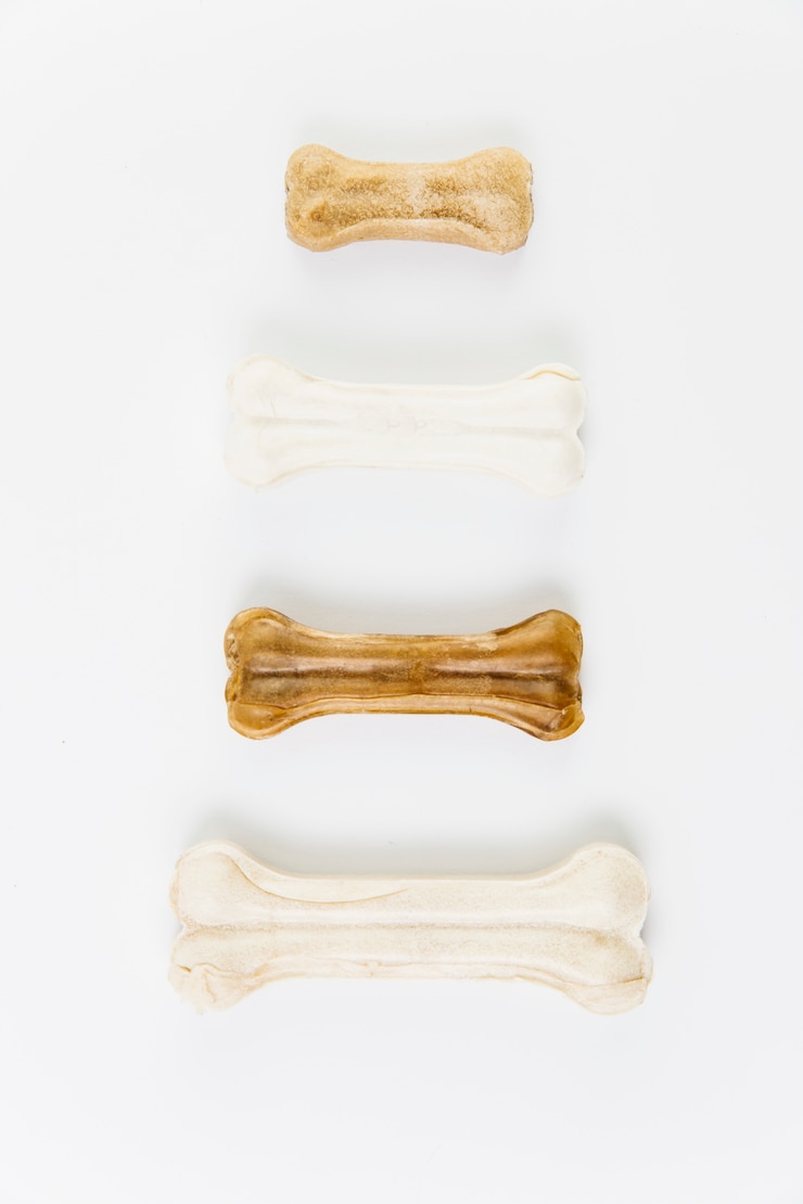 Free Photo set with delicacy for dogs on white surface