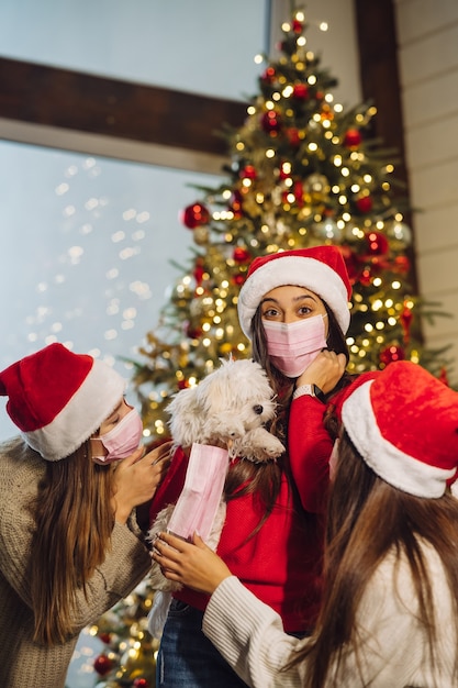 Several girls play with a small dog on New Years Eve at home.