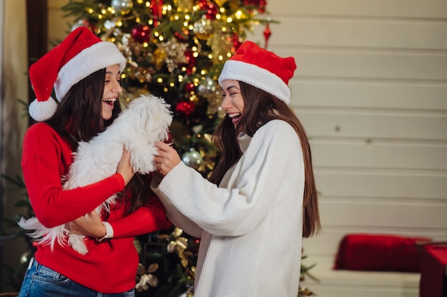 Several girls play with a small dog on New Years Eve at home