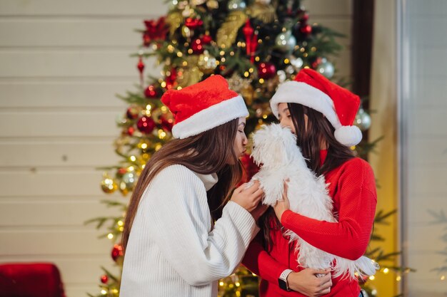 Several girls play with a small dog on New Years Eve at home