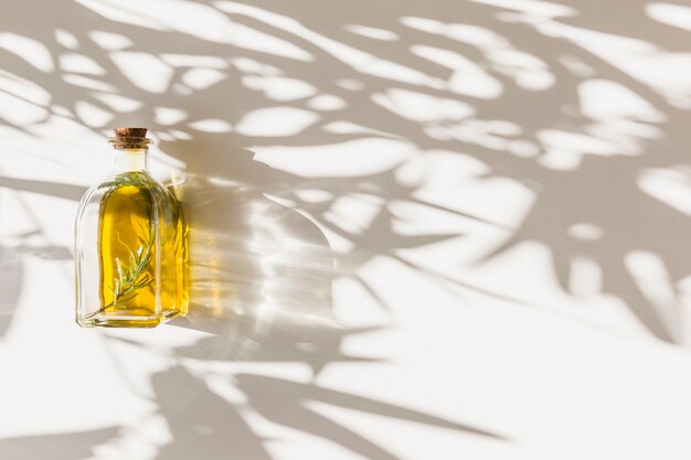 Shadow of leaves on closed olive bottle over the white backdrop