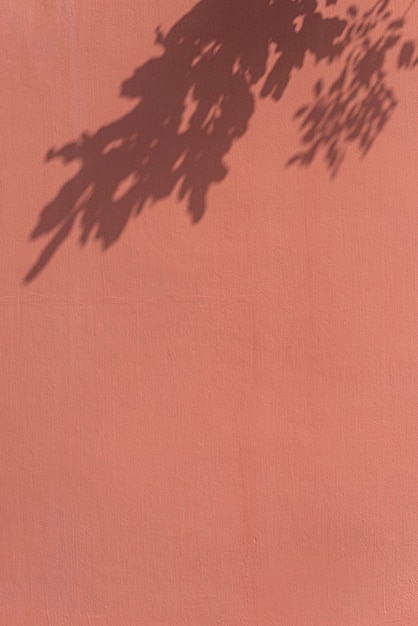 オレンジ色の壁の葉の影