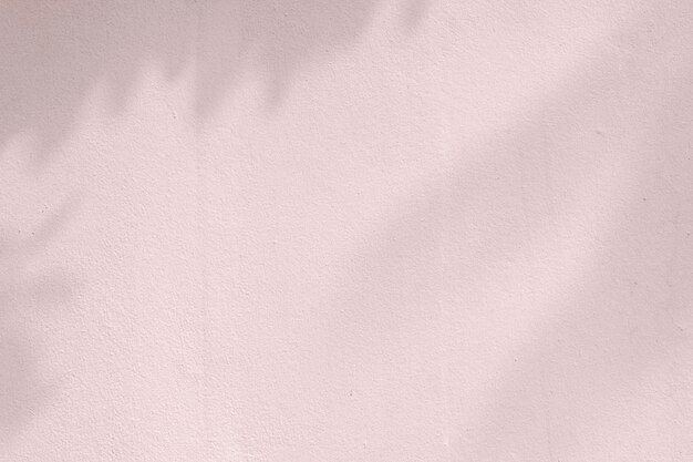 ピンクの壁に葉の影