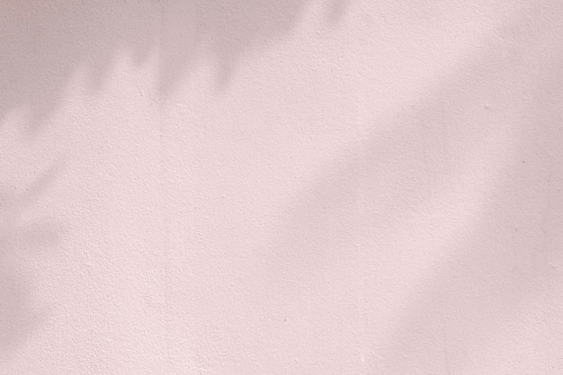 Shadow of leaves on a pink wall