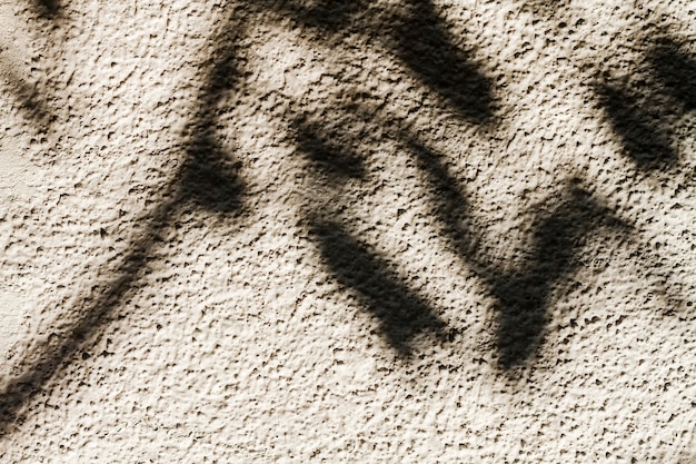 Free photo shadow of a tree on the wall close-up