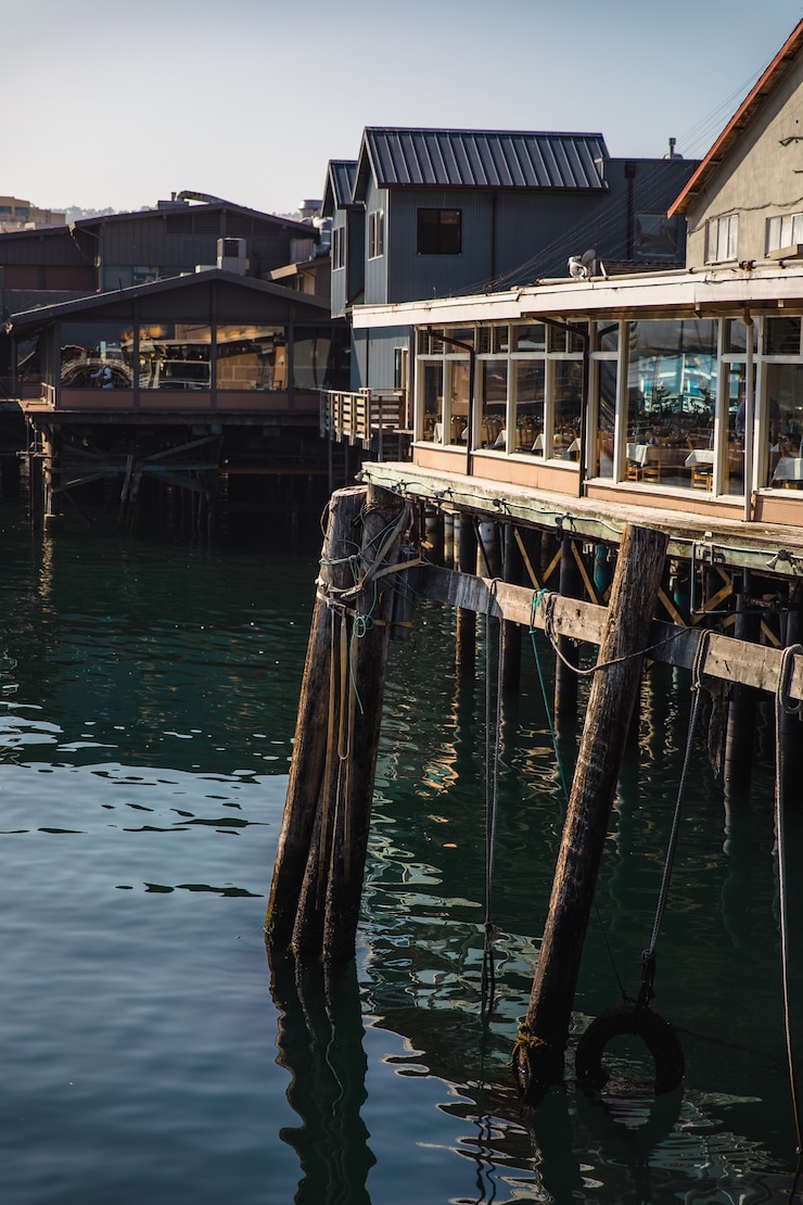 Free Photo shallow focus of building near body of water