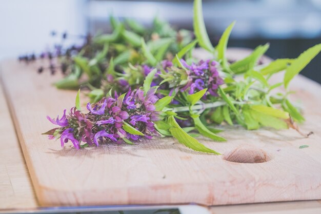 Shallow focus shot of blue lavender from the garden