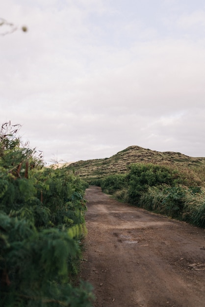 Shallow focus shot of a dirt trail with a green hill and a cloudy sky