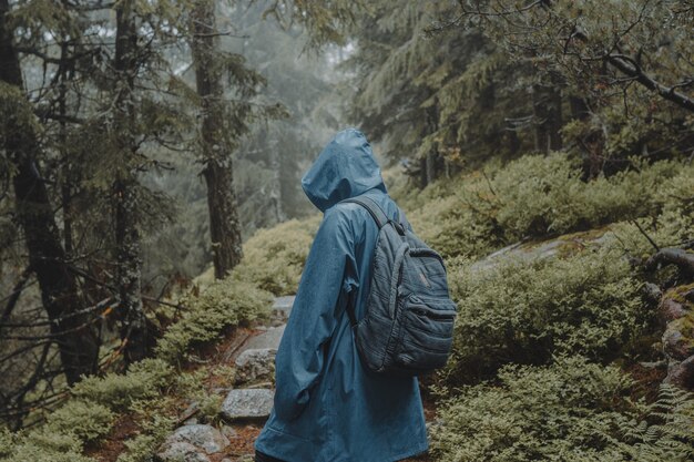 젖은 숲을 걷고 있는 푸른 비옷을 입은 여행자의 얕은 초점 프리미엄 사진
