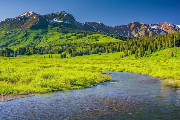 Shallow stream in the midst of alpine trees on rolling hills and mountain