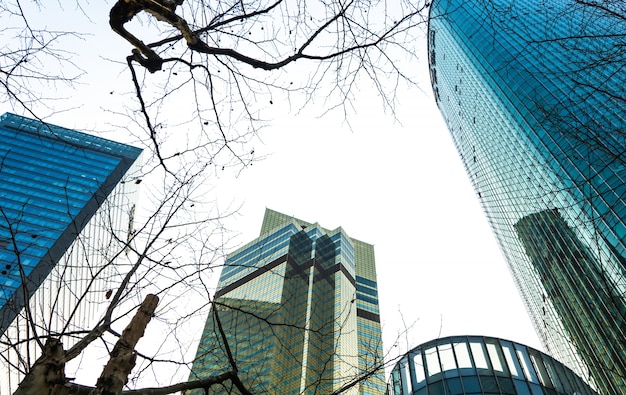 Shanghai Lujiazui business district