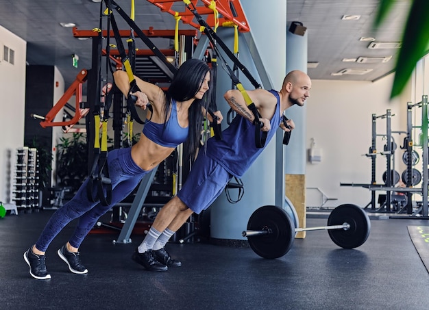 Shaved head athletic male and slim brunette female exercising with trx straps in a gym club.