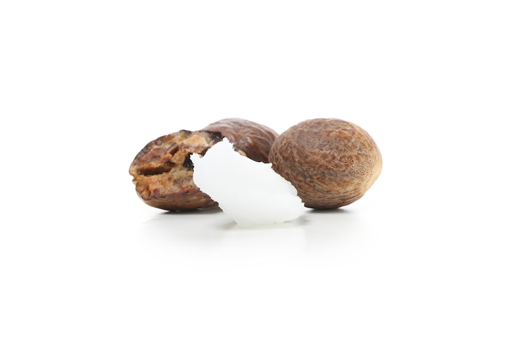 Free Photo shea nuts for making shea butter isolated on white background