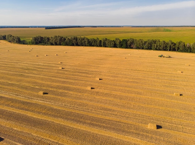 Free photo sheaves of straw in a wheat field