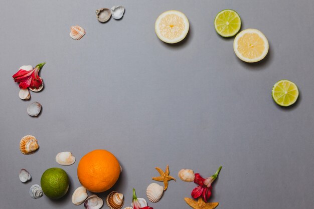 Shells, flowers and citrus fruits