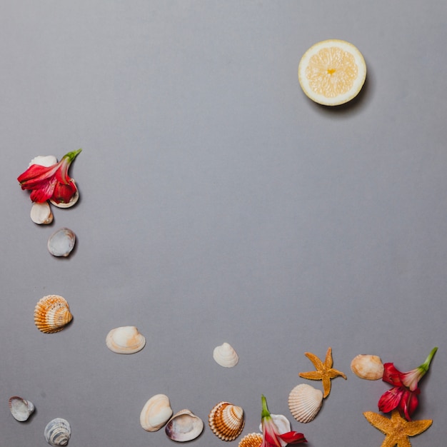 Shells, flowers and lemmon