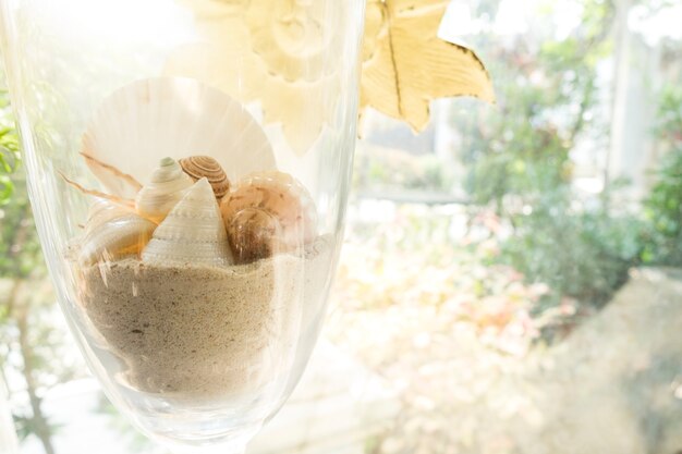 Shells and sand in the big glass.