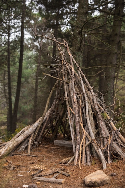 Shelter made of branches in nature