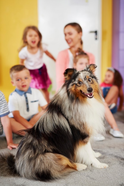 Shetland sheepdog and group of children