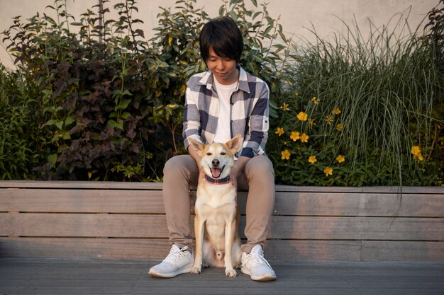 shiba inu dog taking a walk