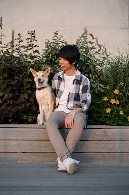 Free photo shiba inu dog taking a walk