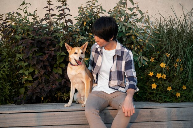 shiba inu dog taking a walk