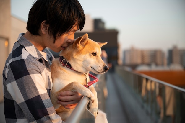 散歩をしている柴犬