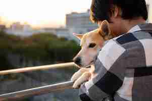 Foto gratuita shiba inu cane che fa una passeggiata