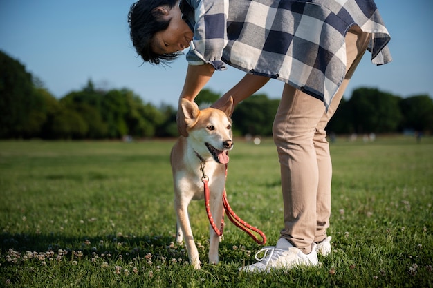 散歩をしている柴犬