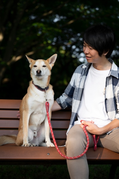 Free photo shiba inu dog taking a walk