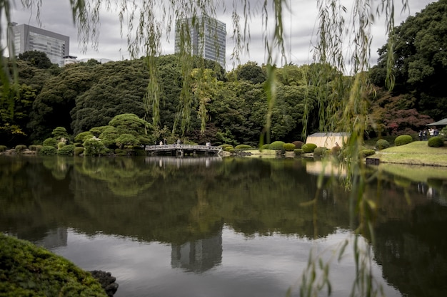 Национальный сад Синдзюку Гёэн