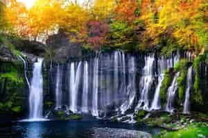 Free photo shiraito waterfall in japan.