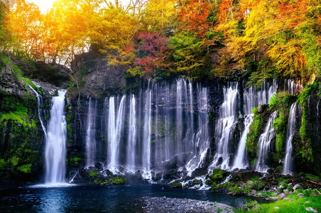 日本の白糸の滝。