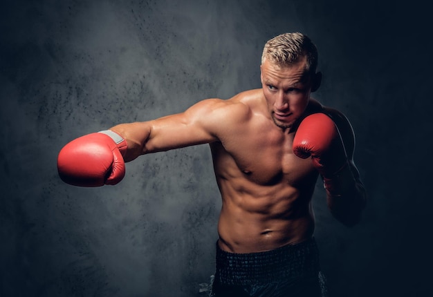 Free photo shirtless kick boxer showing his punches and kicks over grey background in a studio.