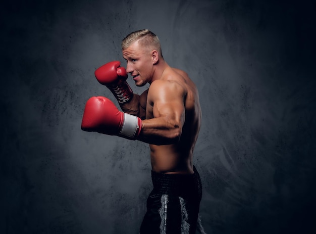 Free photo shirtless kick boxer showing his punches and kicks over grey background in a studio.