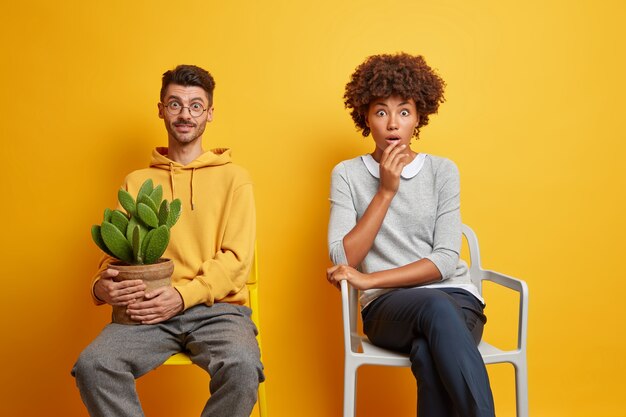 ショックを受けたアフリカ系アメリカ人の女性と鉢植えのサボテンが椅子にポーズをとってうれしい男