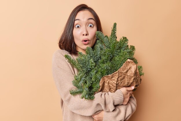 Shocked brunette Asian woman stares with frightened expression embraces bouquet made of spruce branches wears comfortable jumper isolated over brown background makes decorations for holidays