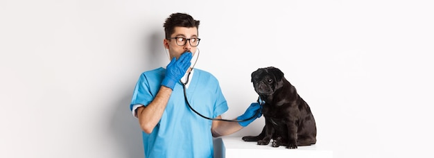 Foto gratuita medico scioccato nella clinica veterinaria che esamina il cane con lo stetoscopio che ansima stupito mentre il simpatico carlino nero si siede
