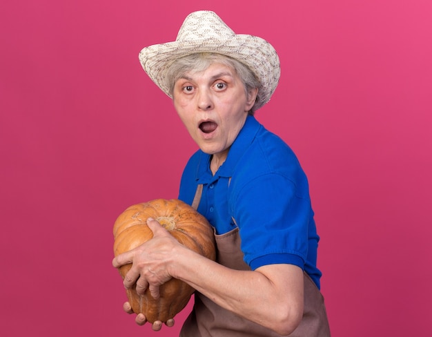 Шокированная пожилая женщина-садовник в садовой шляпе держит тыкву на розовом
