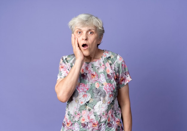충격 된 노인 여성이 보라색 벽에 고립 된 얼굴에 손을 넣습니다.