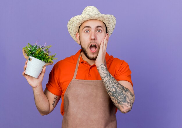 Shocked male gardener wearing gardening hat puts hand on face and holds flowerpot