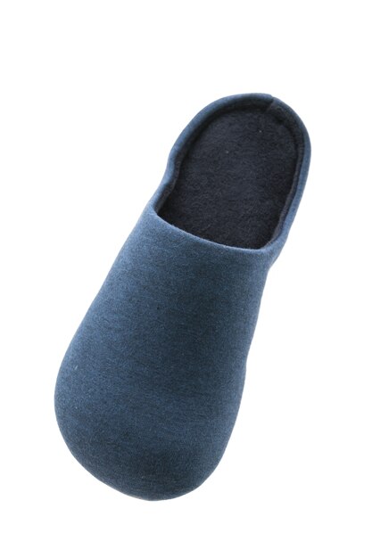 Shoe or Slippers for use in home