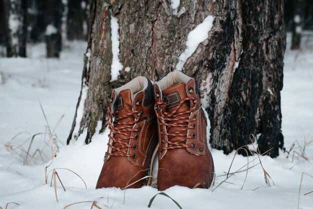 Обувь для походов и путешествий. вид спереди пары новых мужских кожаных коричневых зимних сапог, стоящих у дерева в снежном лесу в солнечный день, на открытом воздухе. элемент одежды, без людей.