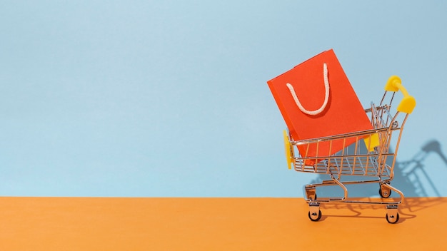 Shopping bag in cart