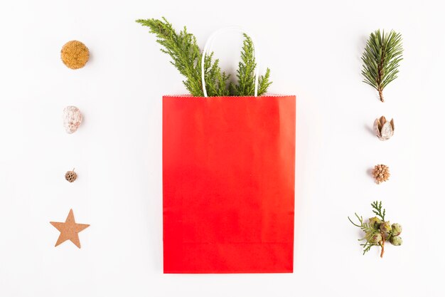 Shopping packet with coniferous branches and set of ornaments