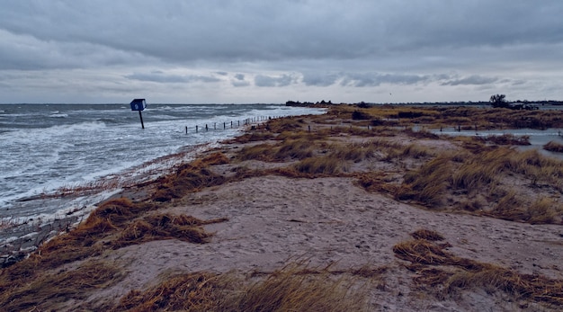 Shore covered in the grass surrounded by the sea under a cloudy sky