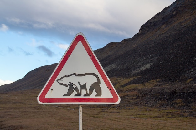 Shot of a bear sign in the mountains